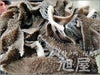 兵庫県産但馬牛 センマイ